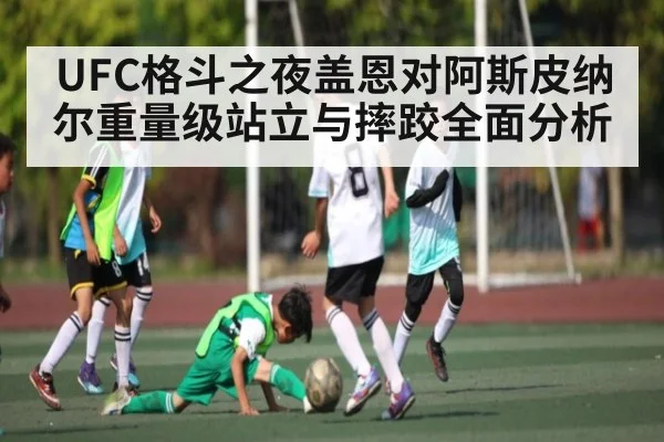 UFC格斗之夜盖恩对阿斯皮纳尔重量级站立与摔跤全面分析